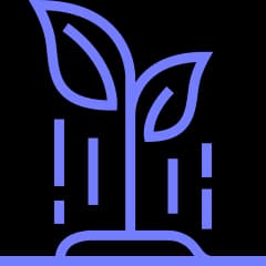 Growing technical talent icon